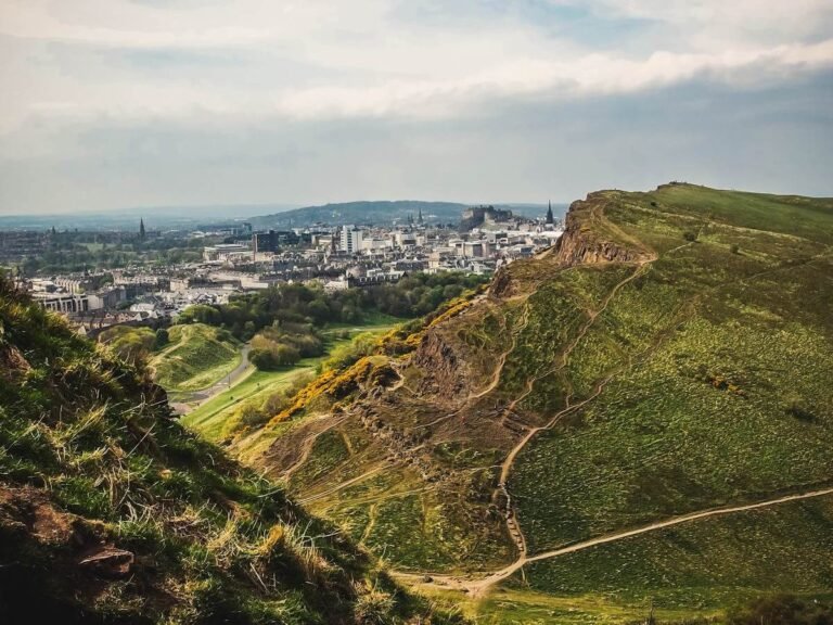 pexels-agnieszka-palmowska-23342-631901